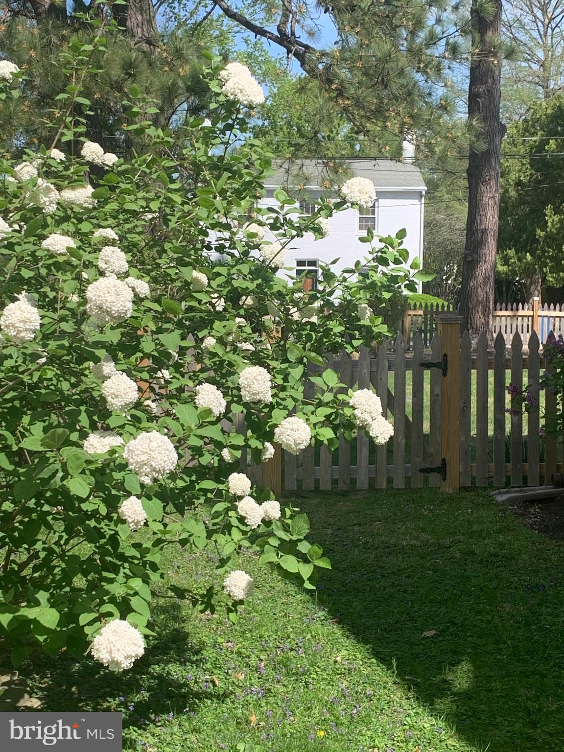 107 West Chestnut Street St. Michaels, MD 21663 - Photo 95 of 104