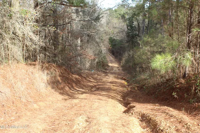 $264,316 | 1958 Highway 550, Wesson, MS 39191