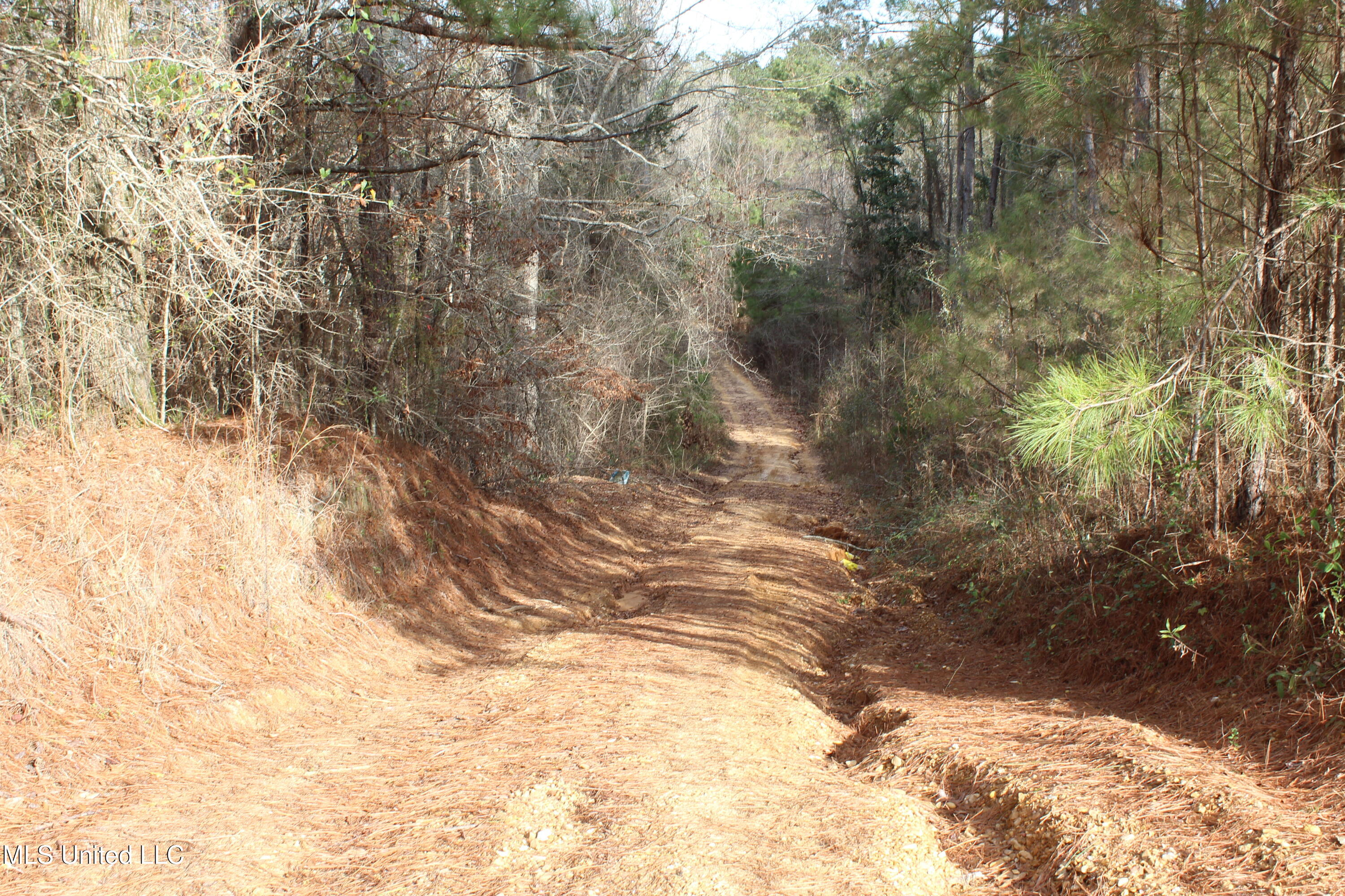 1958 Highway 550 Wesson, MS 39191 - Photo 11 of 31 1958 Hwy 550 (11)