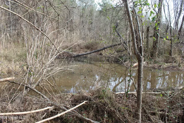 $264,316 | 1958 Highway 550, Wesson, MS 39191