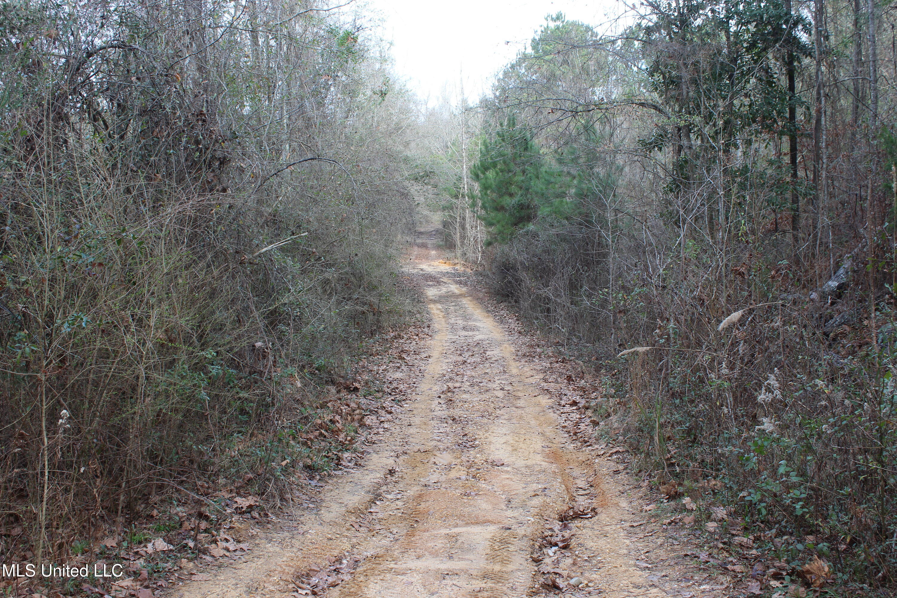 1958 Highway 550 Wesson, MS 39191 - Photo 24 of 31 1958 Hwy 550 (24)