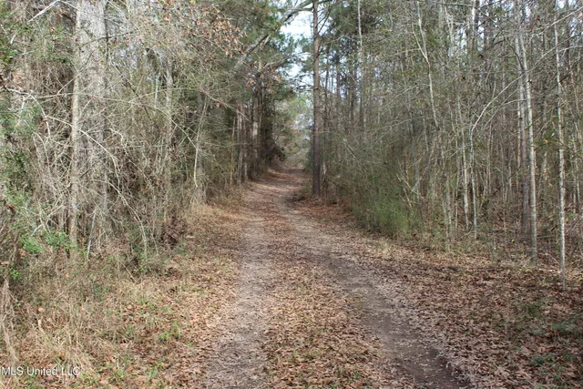 $264,316 | 1958 Highway 550, Wesson, MS 39191