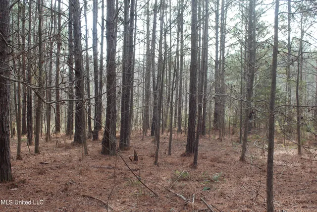 $264,316 | 1958 Highway 550, Wesson, MS 39191