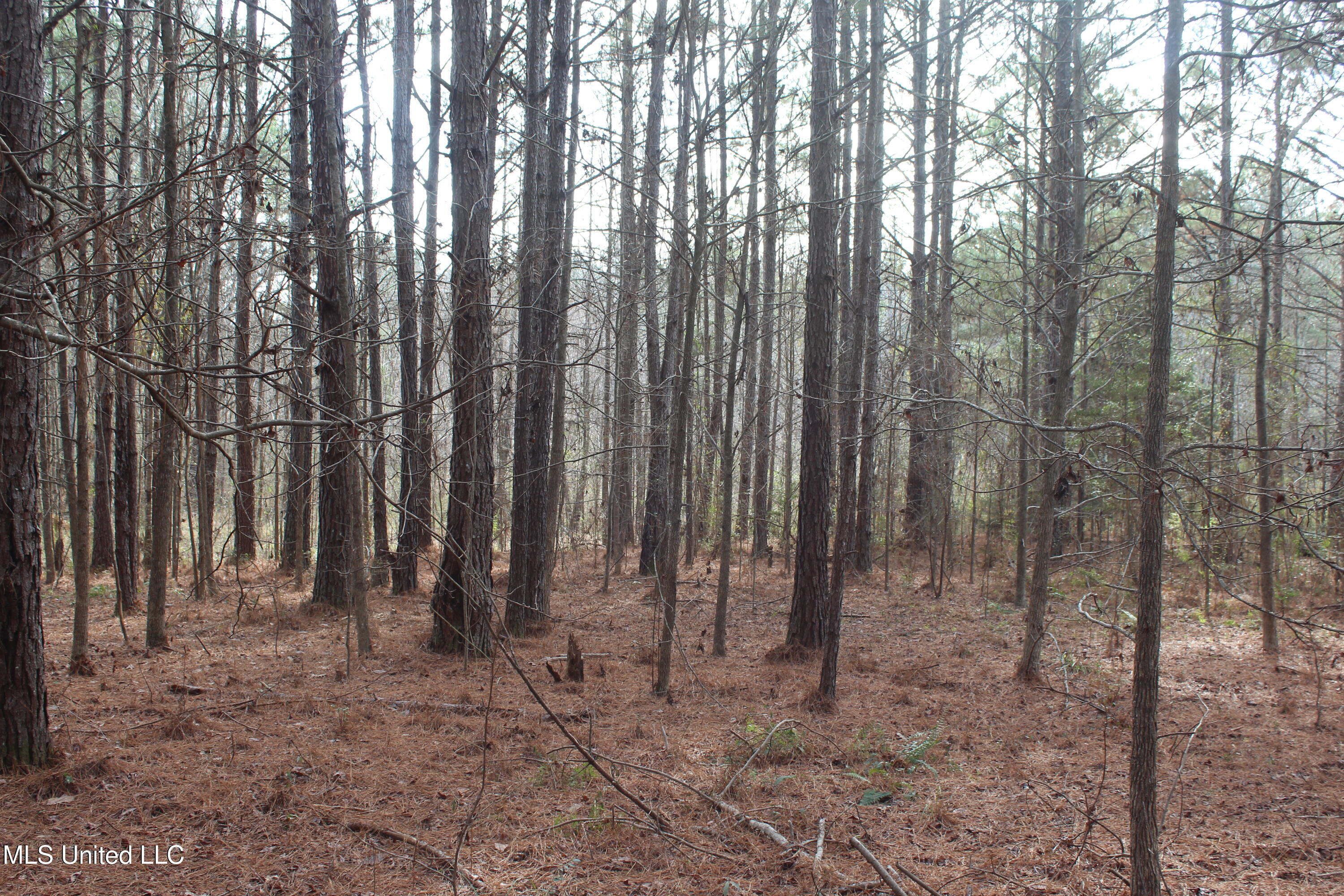 1958 Highway 550 Wesson, MS 39191 - Photo 26 of 31 1958 Hwy 550 (26)