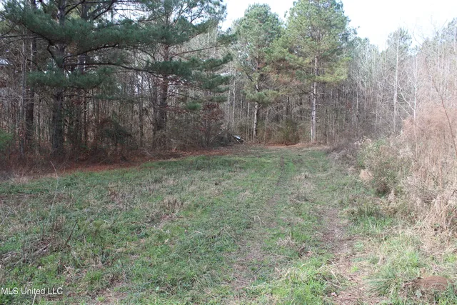 $264,316 | 1958 Highway 550, Wesson, MS 39191