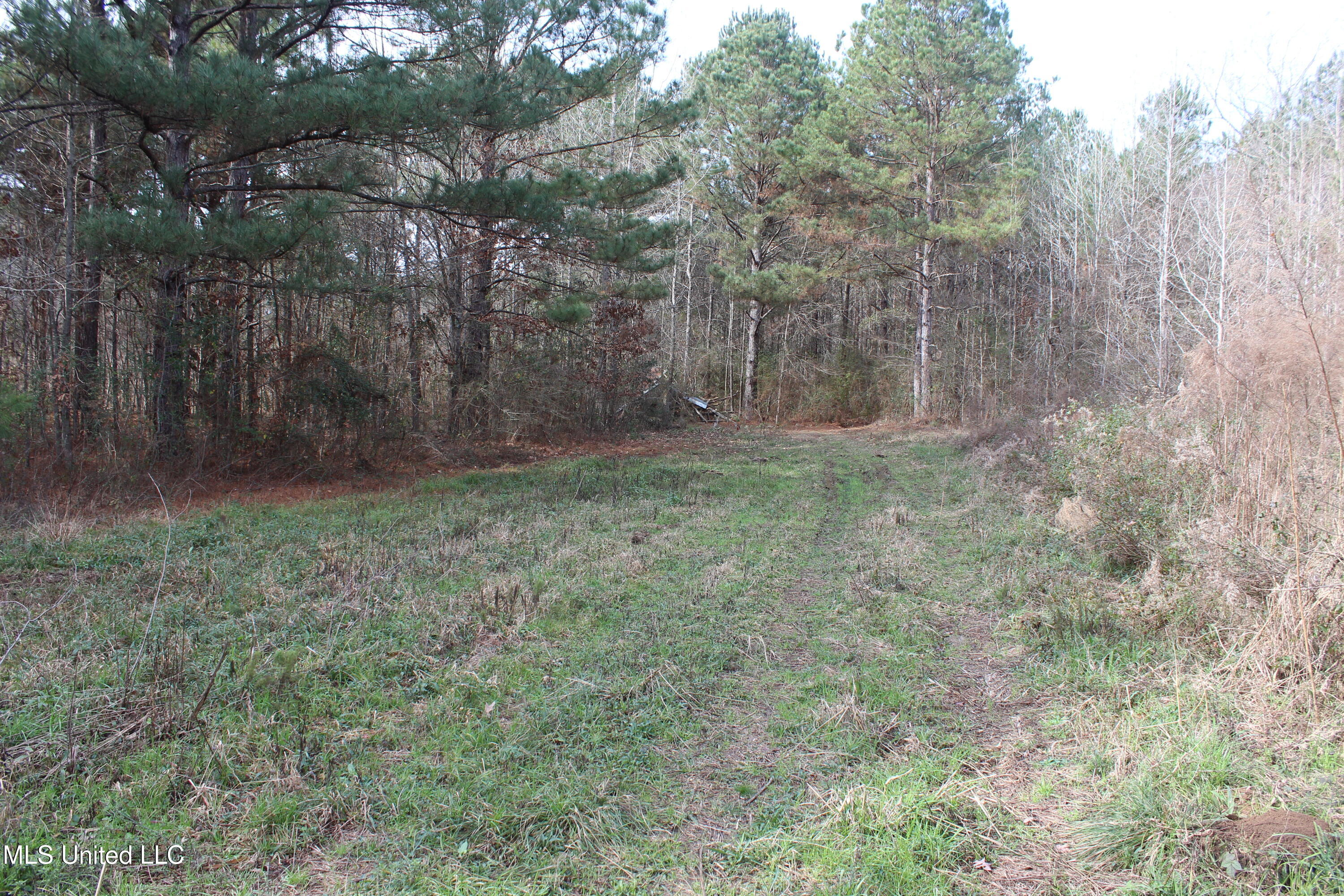 1958 Highway 550 Wesson, MS 39191 - Photo 27 of 31 1958 Hwy 550 (27)
