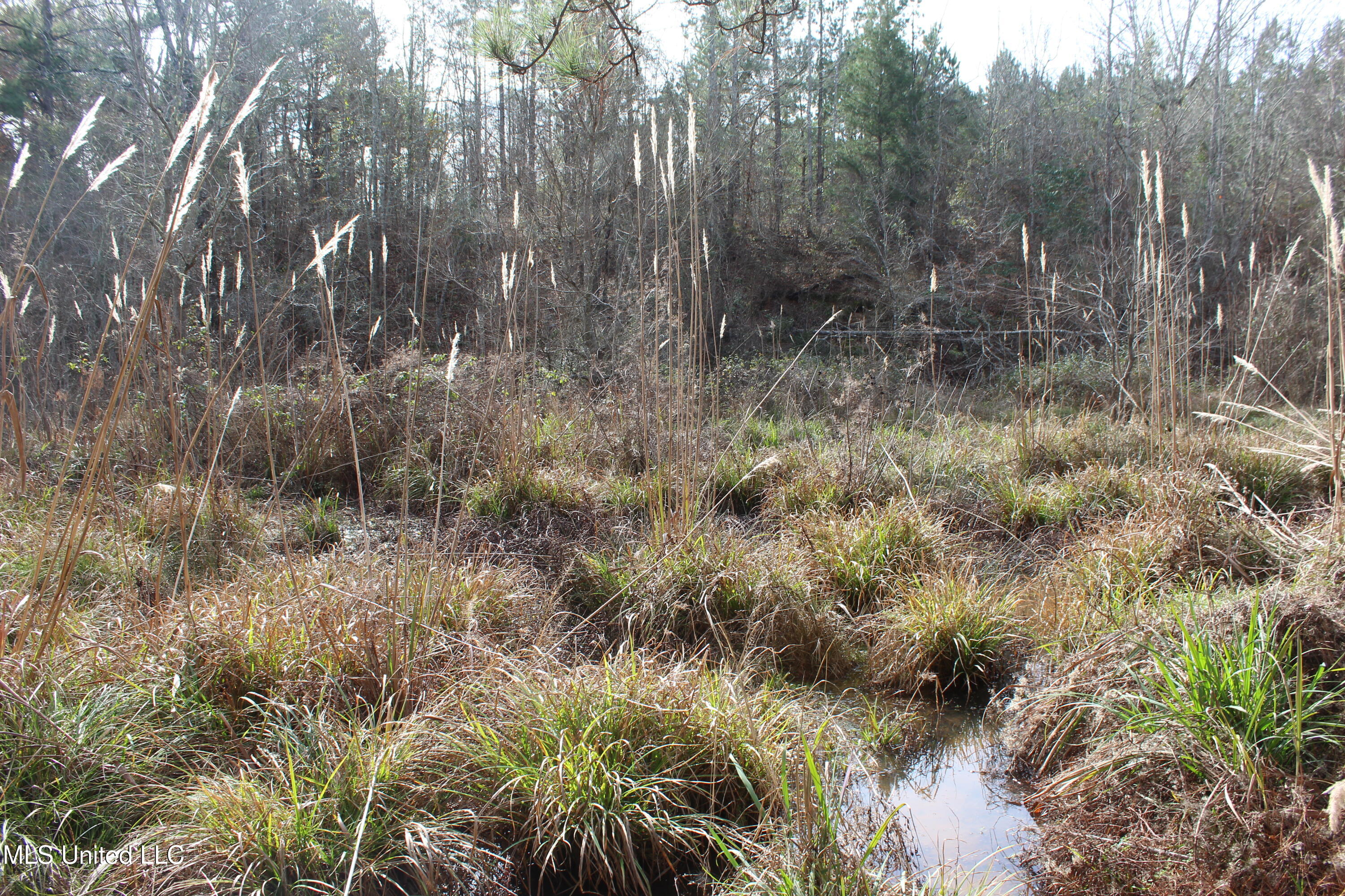 1958 Highway 550 Wesson, MS 39191 - Photo 29 of 31 1958 Hwy 550 (29)