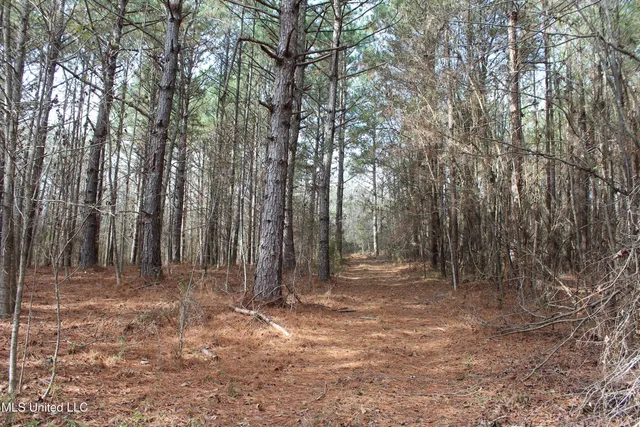 $264,316 | 1958 Highway 550, Wesson, MS 39191