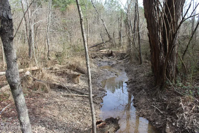 $264,316 | 1958 Highway 550, Wesson, MS 39191