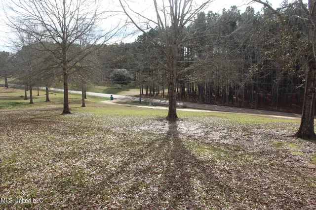 $264,316 | 1958 Highway 550, Wesson, MS 39191