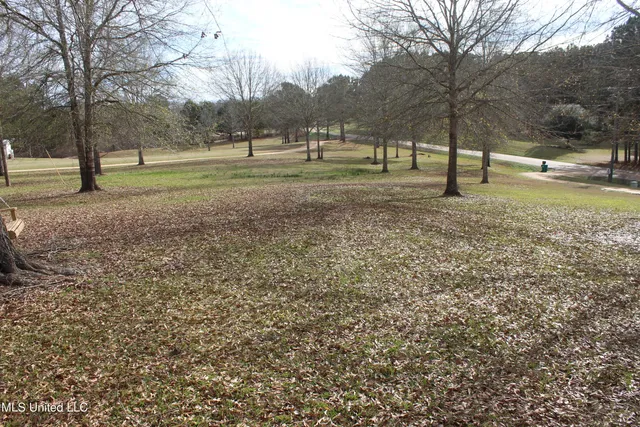 $264,316 | 1958 Highway 550, Wesson, MS 39191