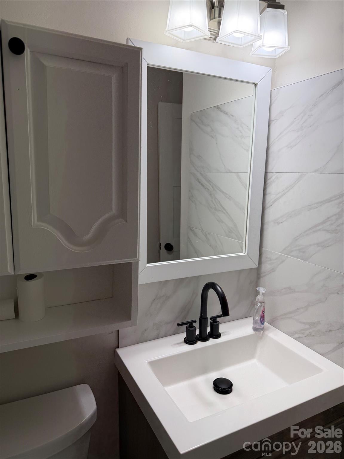 250 Nixon Road, Unit 19 Belmont, NC 28012 - Photo 19 of 27 a bathroom with a sink and a toilet