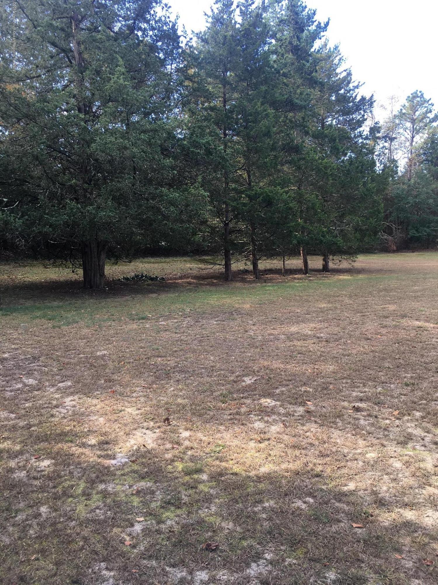 7 Riccis Drive Jackson, NJ 08527 - Photo 21 of 22 Backyard