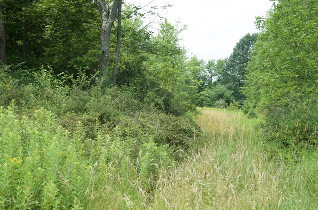 0 Bonham Road Lockwood, NY 14859 - Photo 1 of 1 Gallery Image 1