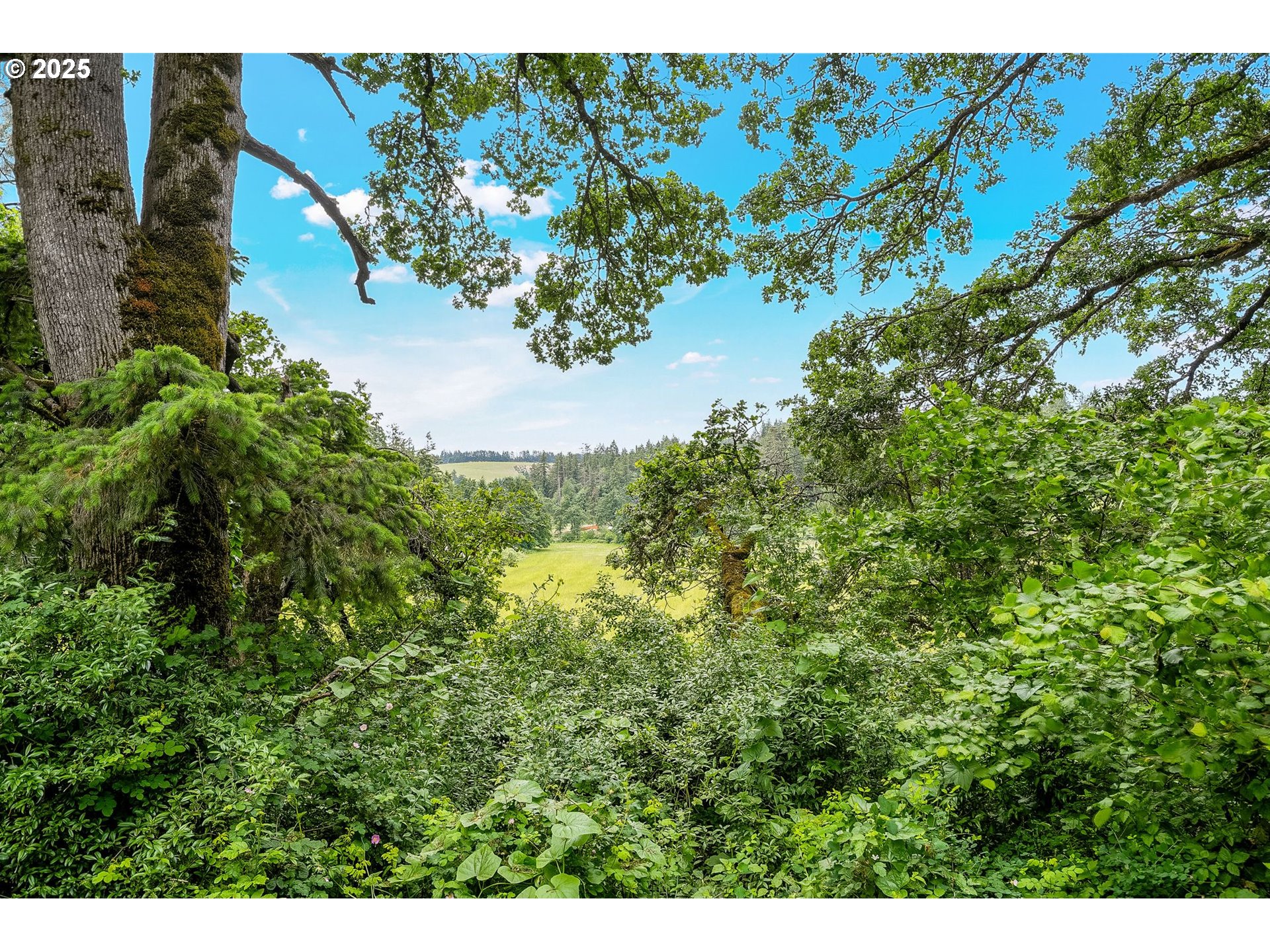 5309 Witzel Road Southeast Salem, OR 97317 - Photo 45 of 46 Gallery Image 45