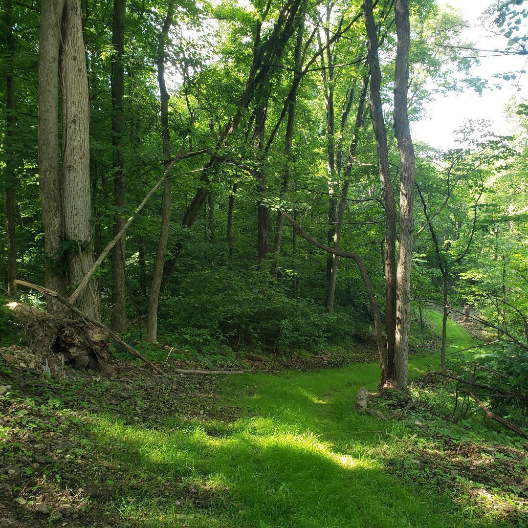 0 Mulberry Road Mount Perry, OH 43760 - Photo 10 of 14 10