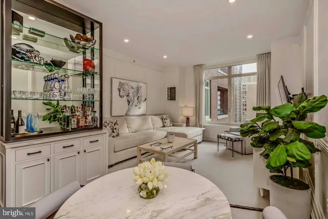 a living room with furniture flowerpot and a chandelier