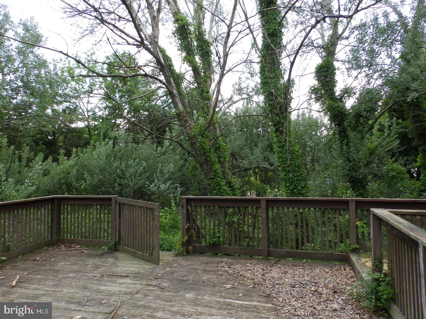 313 Ewan Road Mullica Hill, NJ 08062 - Photo 9 of 24 Gallery Image 9