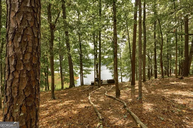 $2,595 | 56 Driftwood Court, Newnan, GA 30263