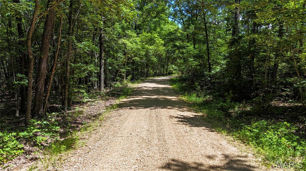 Tbd Tbd Antler Ridge Bunker, MO 63629 - Photo 18 of 26