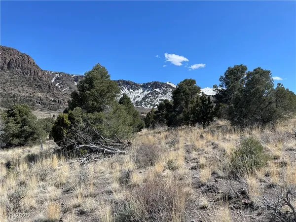 $26,000 | P-15 Butte Valley, Ely, NV 89301