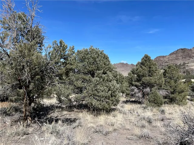 $26,000 | P-15 Butte Valley, Ely, NV 89301