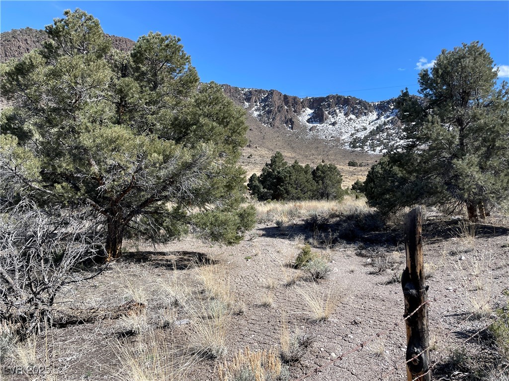 P-15 Butte Valley Ely, NV 89301 - Photo 3 of 4
