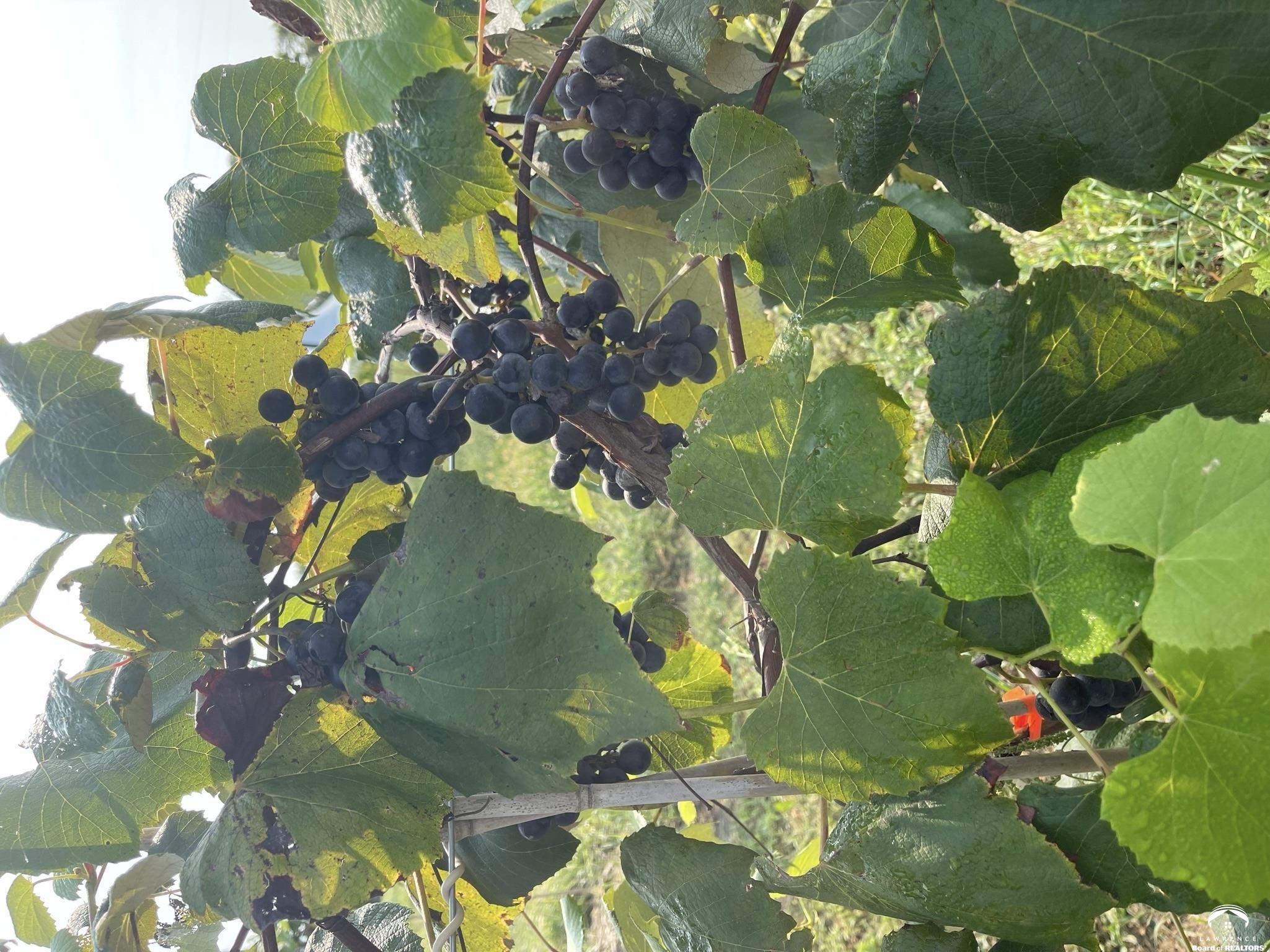 24305 Loring Road Lawrence, KS 66044 - Photo 13 of 96