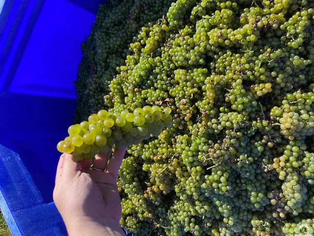 $2,800,000 | 24305 Loring Road, Lawrence, KS 66044