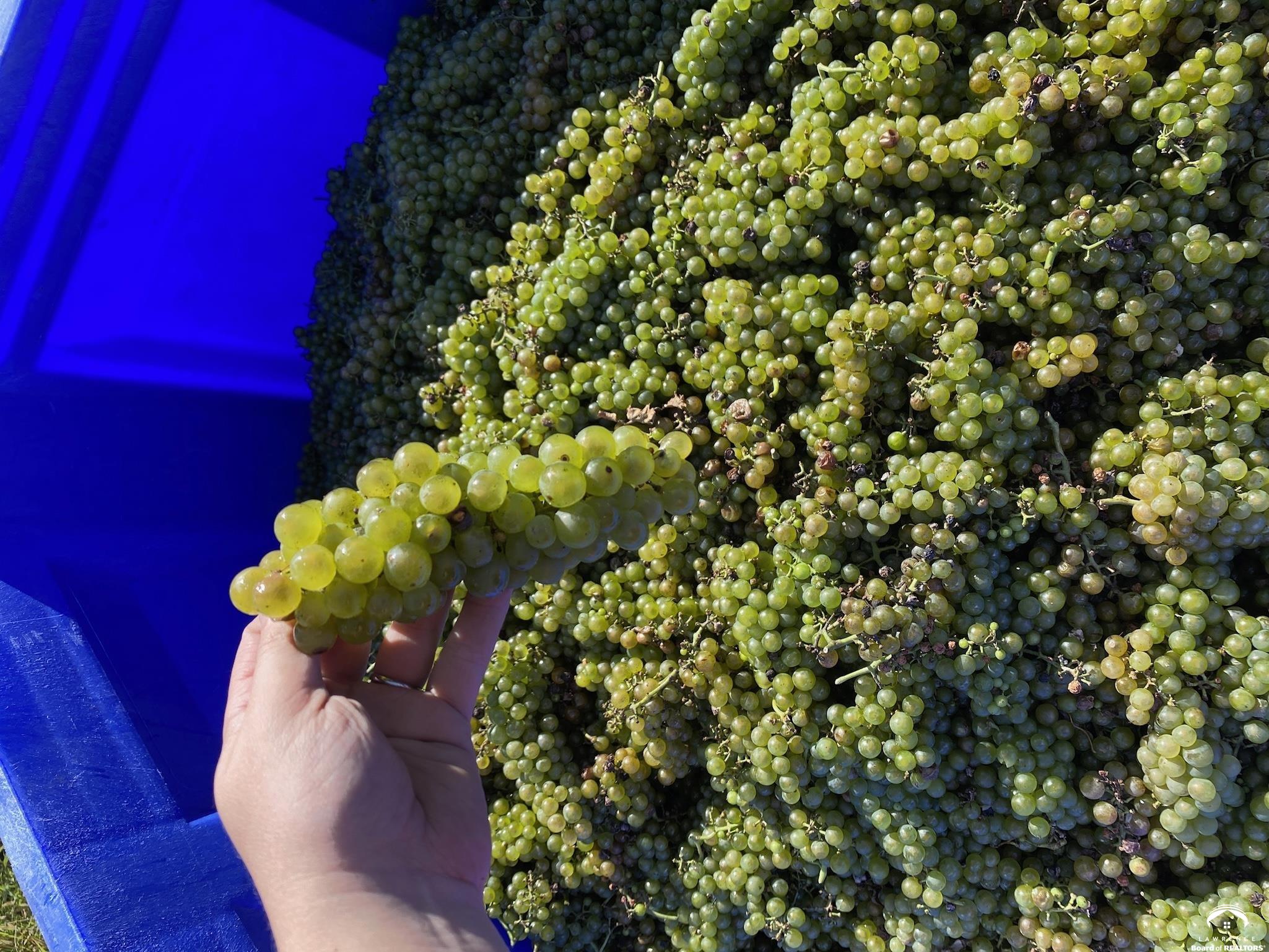 24305 Loring Road Lawrence, KS 66044 - Photo 3 of 96