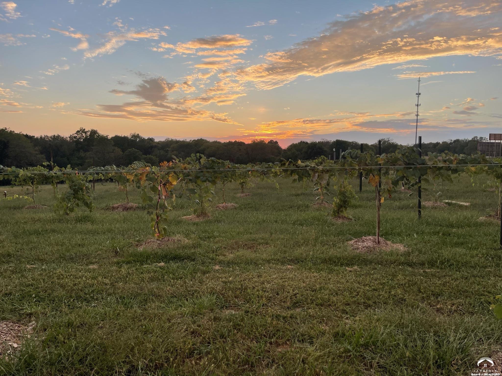24305 Loring Road Lawrence, KS 66044 - Photo 4 of 96