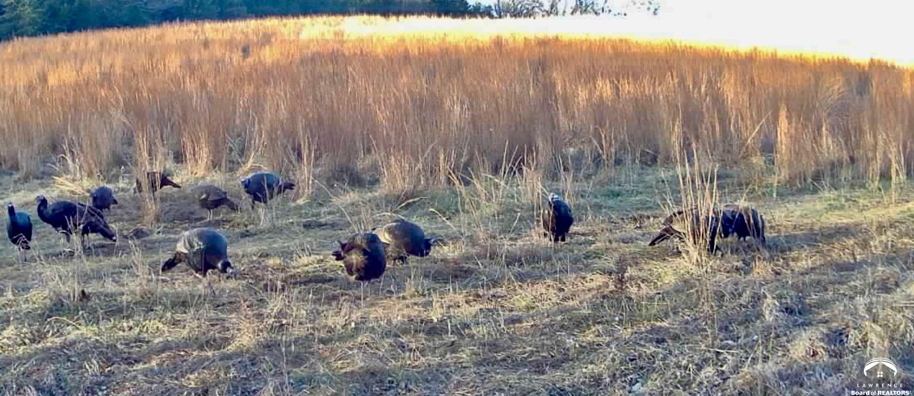 24305 Loring Road Lawrence, KS 66044 - Photo 80 of 96