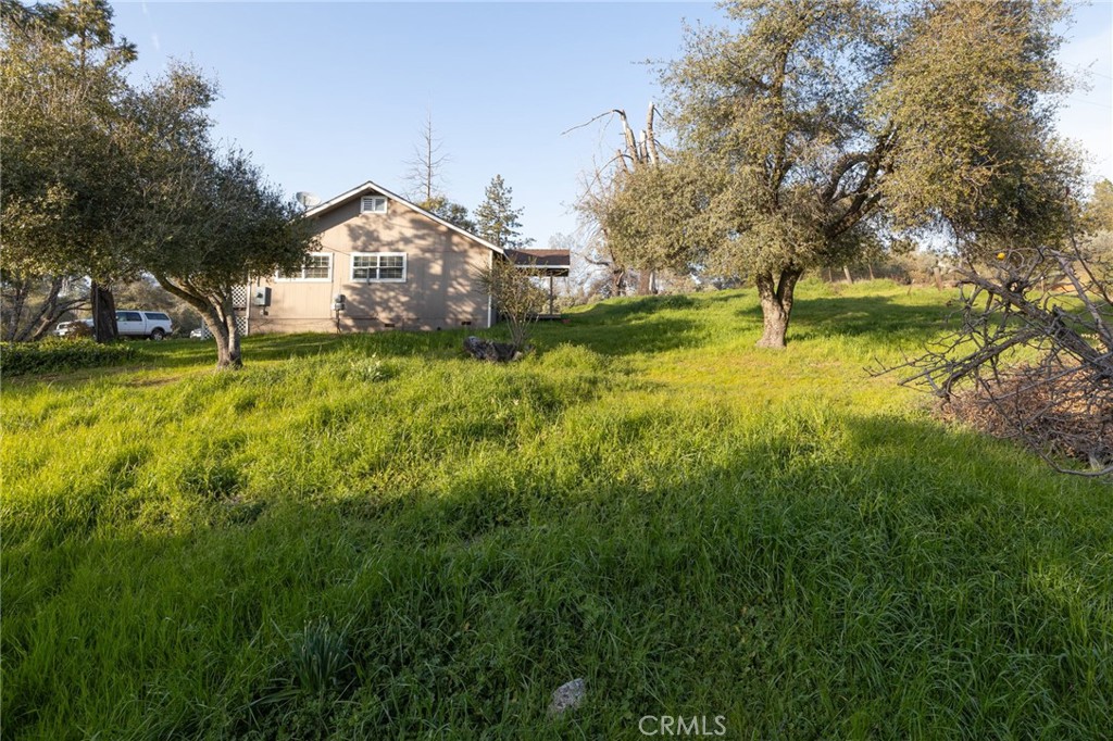 5072 Tip Top Road Mariposa, CA 95338 - Photo 19 of 41 a view of a yard with plants and trees