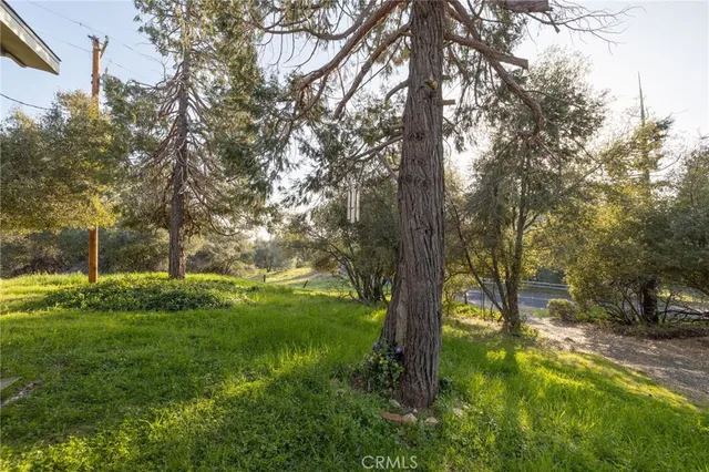 a view of a yard with trees
