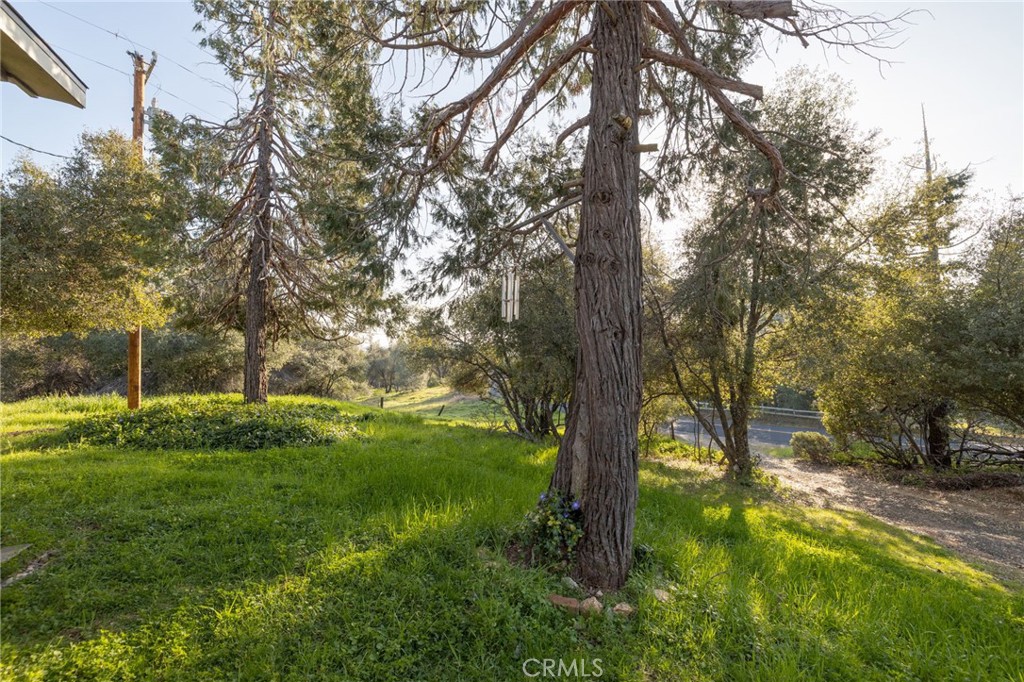 5072 Tip Top Road Mariposa, CA 95338 - Photo 24 of 41 a view of a yard with trees