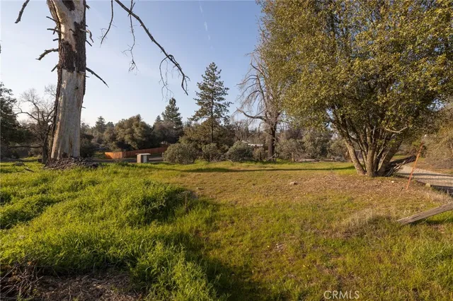 a view of yard with green space