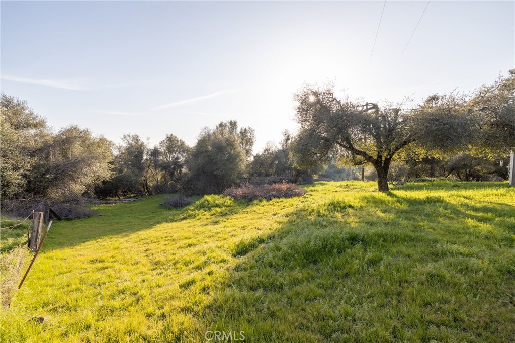 5072 Tip Top Road Mariposa, CA 95338 - Photo 28 of 41 a view of yard with swimming pool