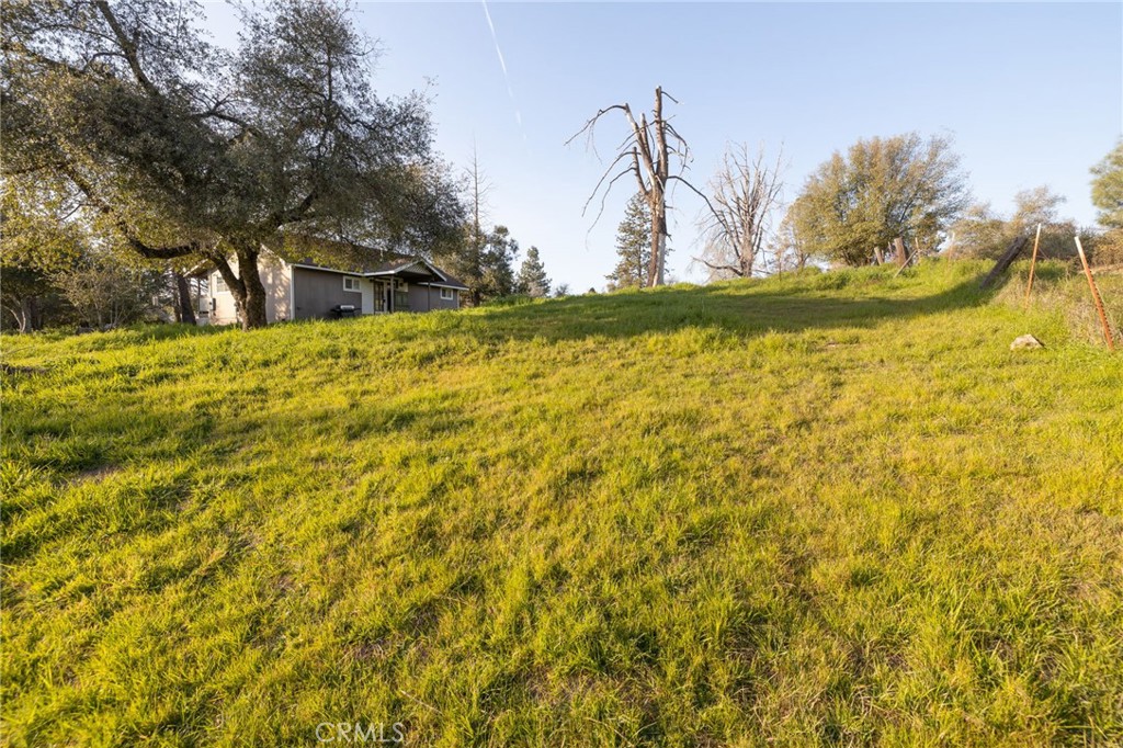 5072 Tip Top Road Mariposa, CA 95338 - Photo 29 of 41 a view of a yard with an trees