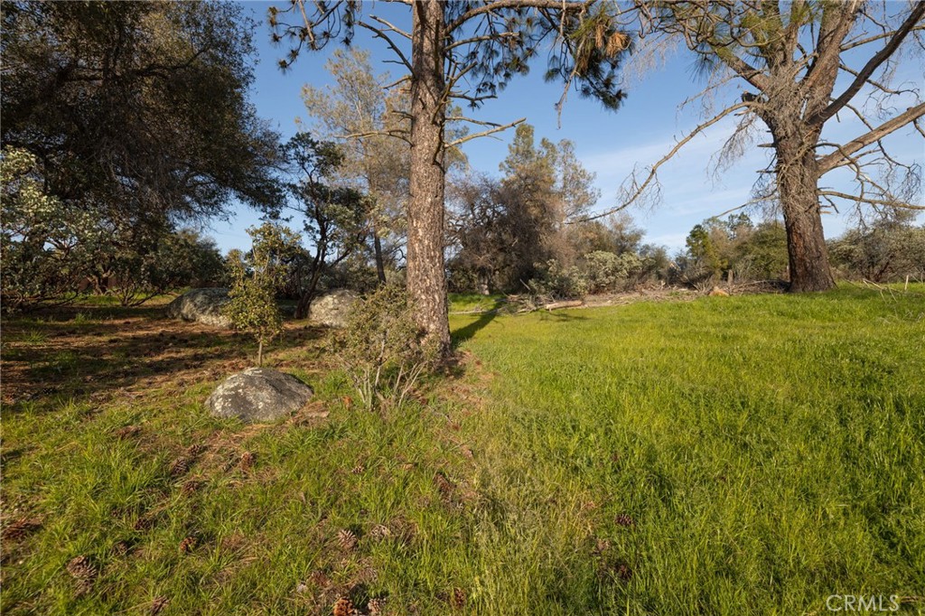 5072 Tip Top Road Mariposa, CA 95338 - Photo 31 of 41 a view of ocean view