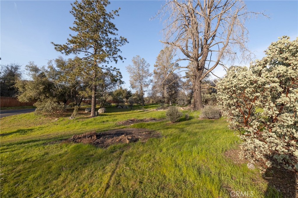5072 Tip Top Road Mariposa, CA 95338 - Photo 32 of 41 a view of yard with green space