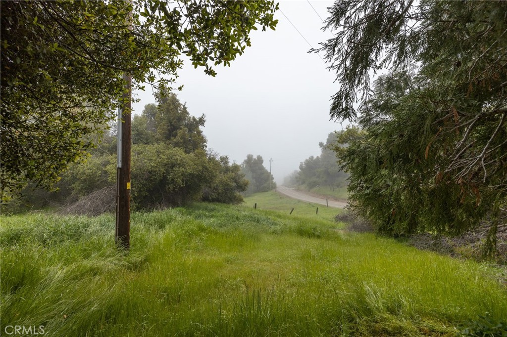 5072 Tip Top Road Mariposa, CA 95338 - Photo 38 of 41 a view of a field with a tree