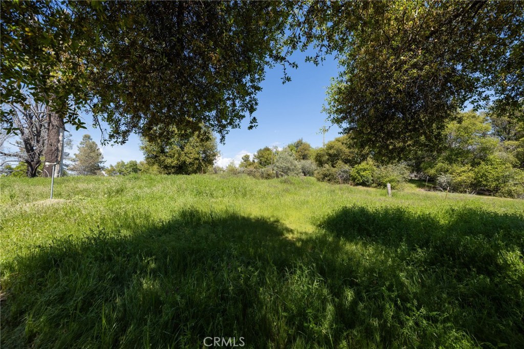 5072 Tip Top Road Mariposa, CA 95338 - Photo 39 of 41 a view of a garden with a lake