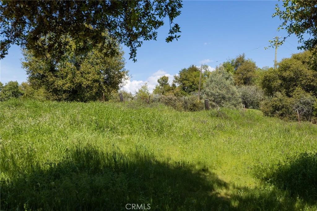 5072 Tip Top Road Mariposa, CA 95338 - Photo 40 of 41 a view of a lush green space