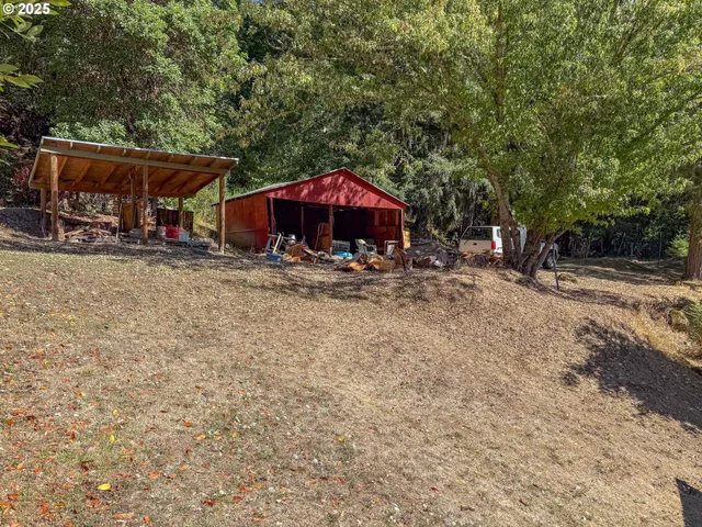 a view of a covered with tall trees