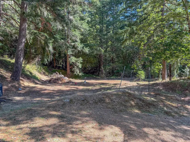 a view of a yard with large trees