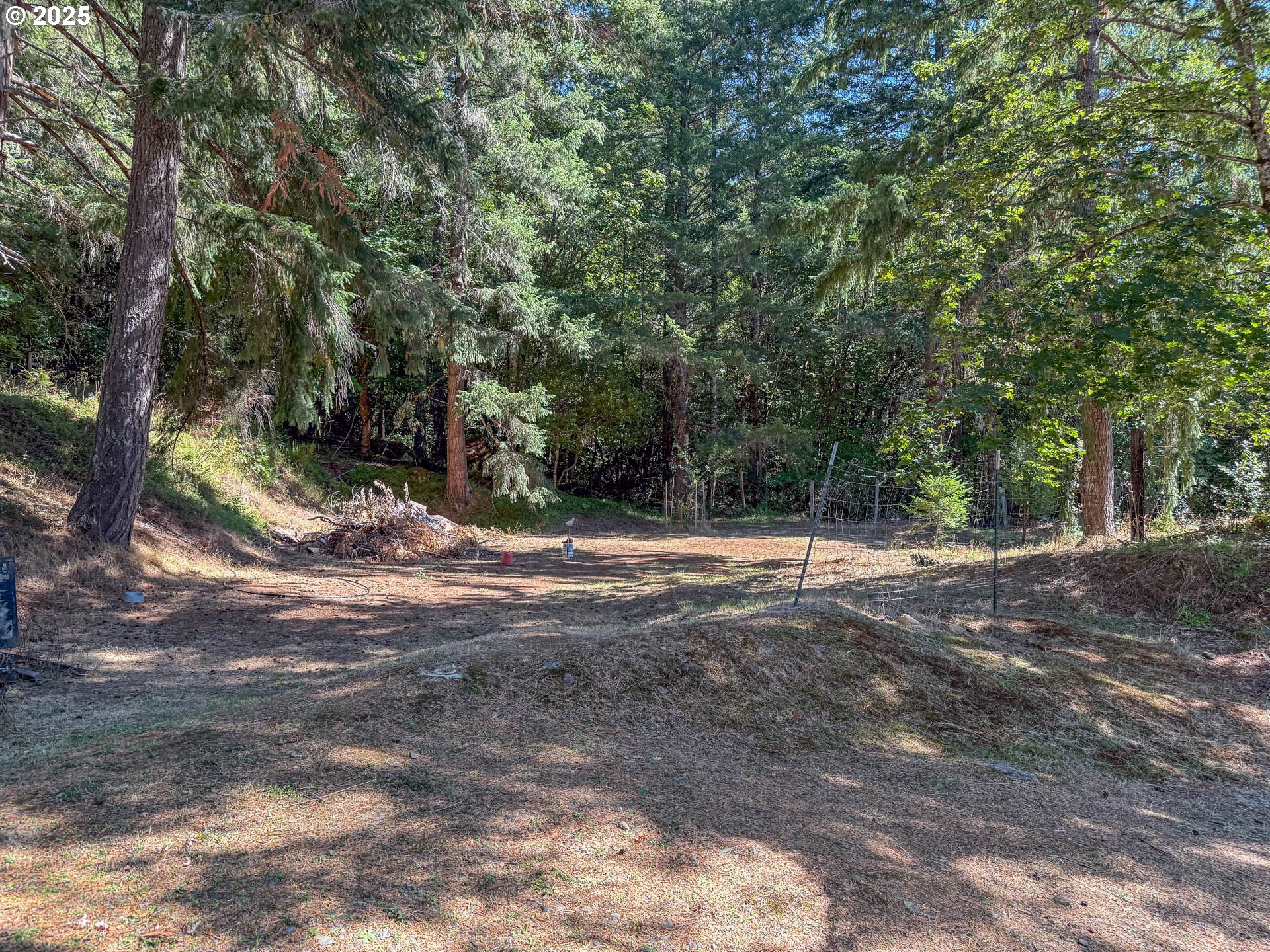 27001 Highway 42 Camas Valley, OR 97416 - Photo 12 of 15