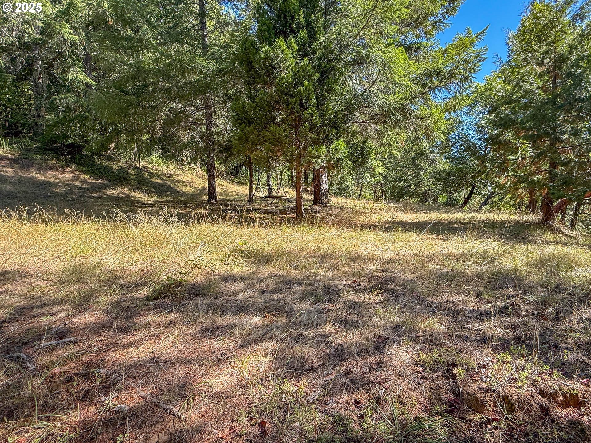 27001 Highway 42 Camas Valley, OR 97416 - Photo 13 of 15