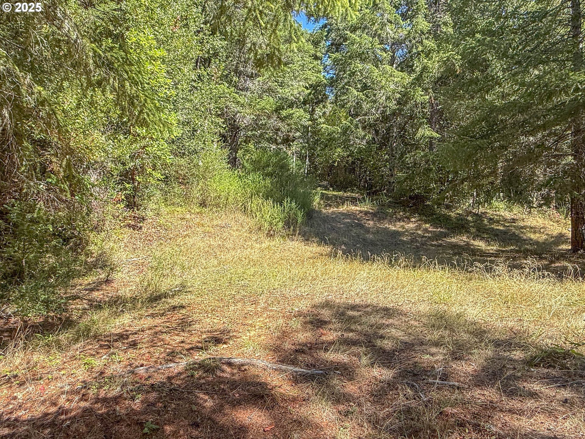 27001 Highway 42 Camas Valley, OR 97416 - Photo 14 of 15