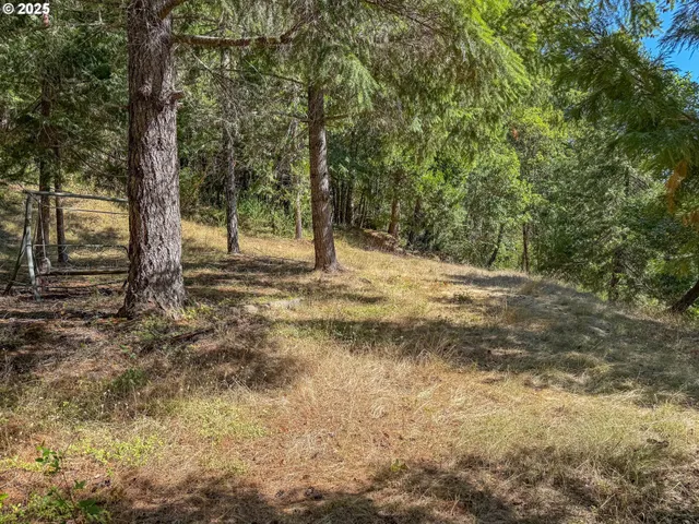 a view of dirt yard with a trees