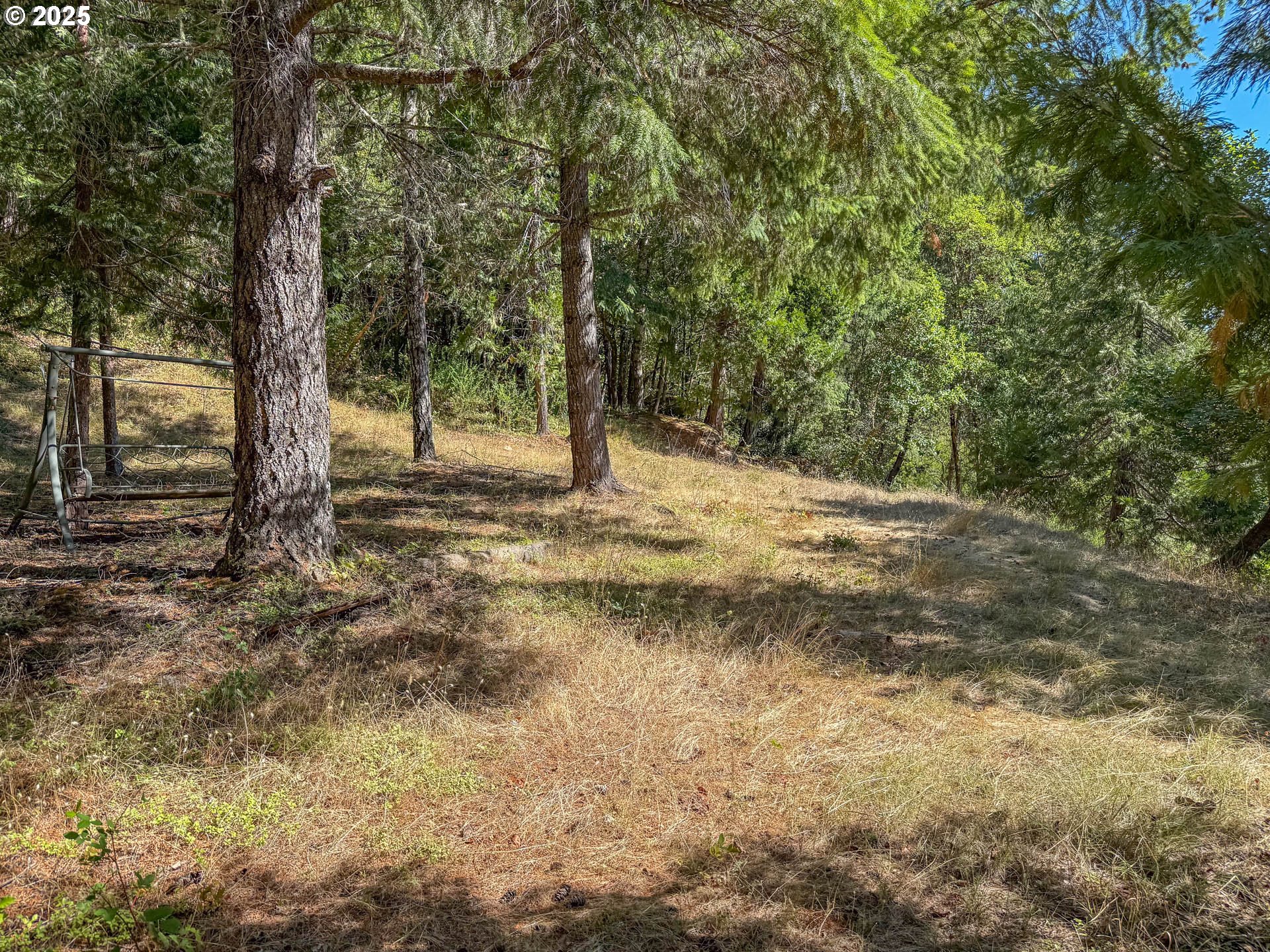 27001 Highway 42 Camas Valley, OR 97416 - Photo 15 of 15